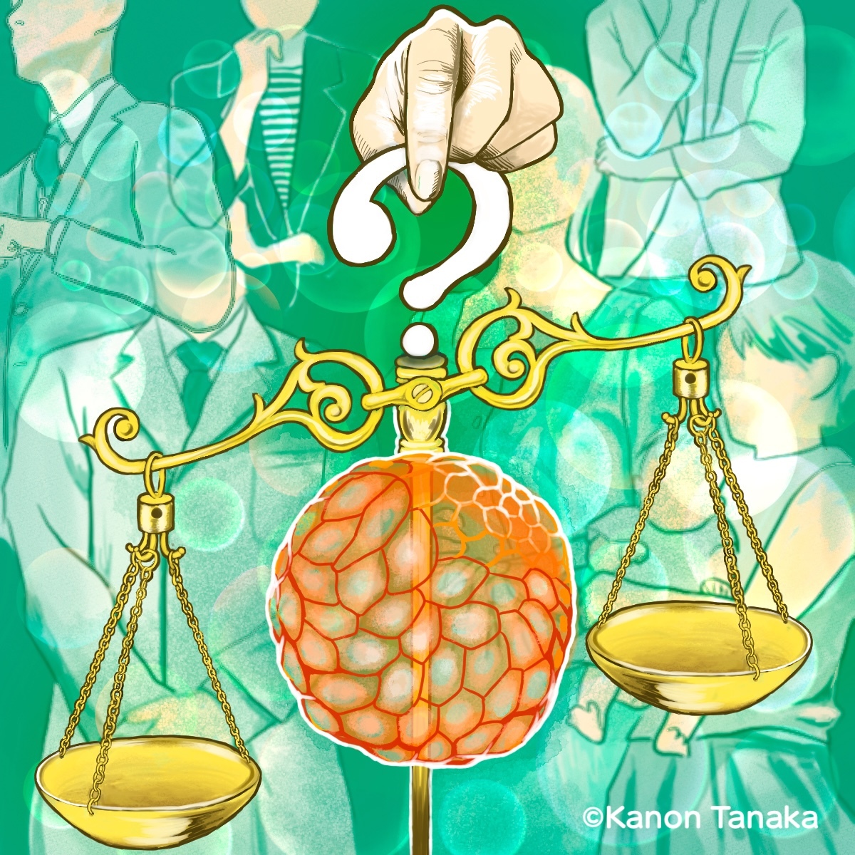 Why regulating stem cell–based embryo model research is important (yet controversial)